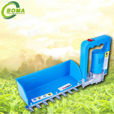 Portable Tea Plucking Machines Made by BOMA Company for Tea Company 