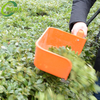 1.7kg BOMA electric tea tree harvester for tea plantation