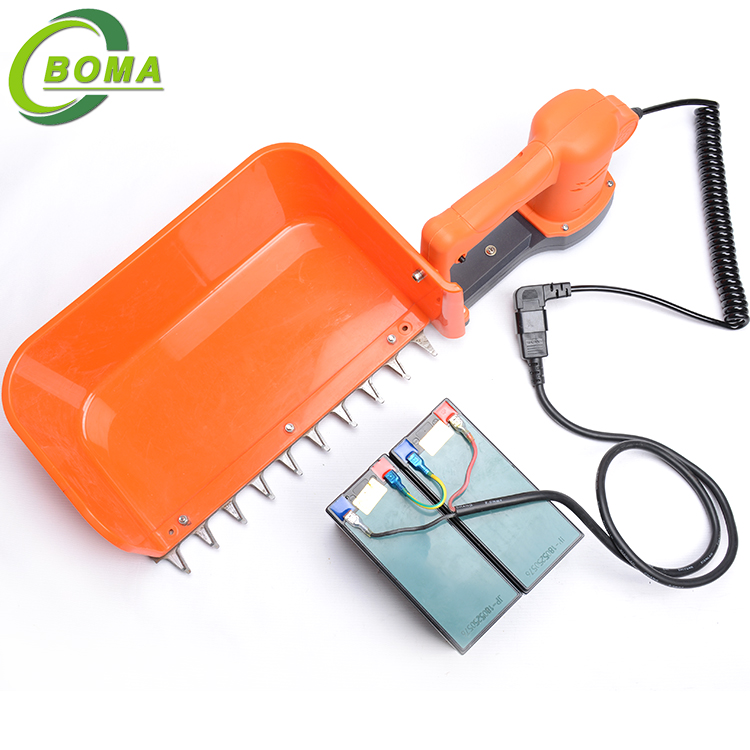 BOMA Rechargeable New Green Tea Collection Machine for Cutting Rose