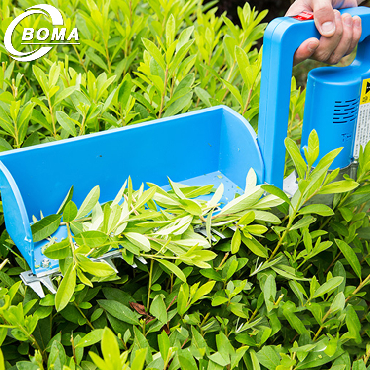 China Widely Used Attractive Easy to Operate Tea leaf Harvester