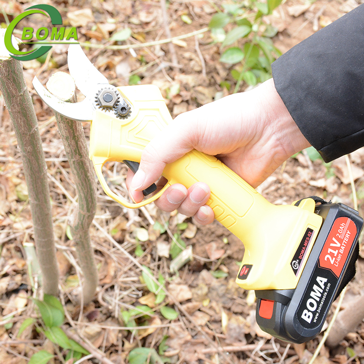 Rechargeable Garden Scissors Pruner with Two Rechargeable Lithium Battery Made in China