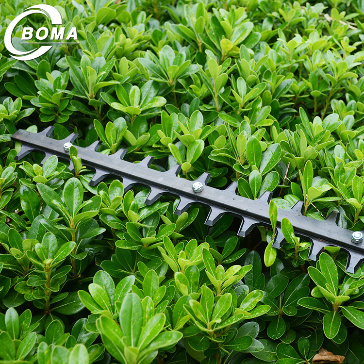 BOMA Gasoline Dual Blades Tea Prunning Mahcine for Tea Garden and Estate