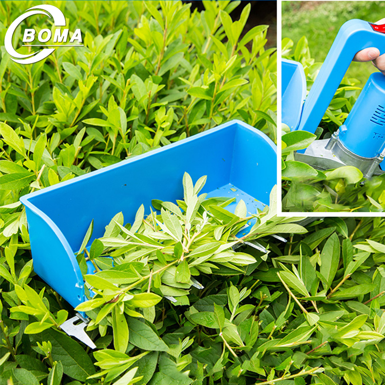 BOMA Company has Shipped 100 Units of Tea Leaf Plucker to India in March, 2018