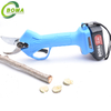 Hot HandHeld Electric Grape Trimming Shears with Two Lithium Battery for Orchard