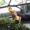 BOMA 21V Electric Mini Lazy Pruning Shears for Gardens