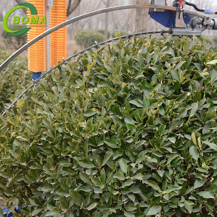 Battery Powered Automatic Round Shrub Trimming Machine with Curved Blades for Boxwoods