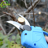 High Quality Cordless Rechargeable Garden Hand Tools for for Flowers