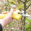 Most Popular Tainless Steel Cutting Electric Vineyard Scissor for Home Garden