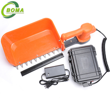 New Invention BOMA-BMTH-300 Tea Picking Machine for Tea Garden Use